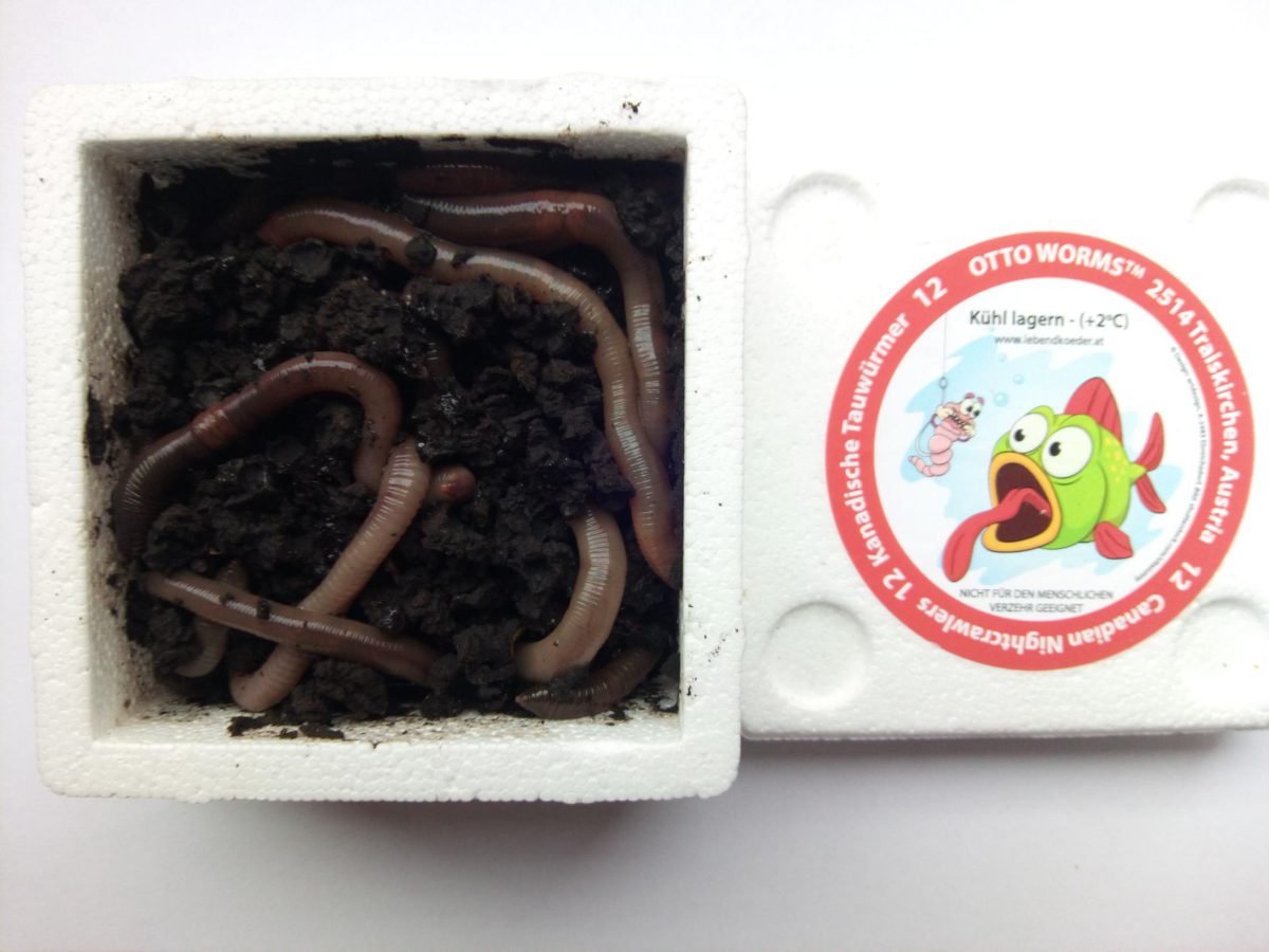 Nomura Artificiale Verme Di Silicone 13cm Grey Multi Glitter - Foto 2